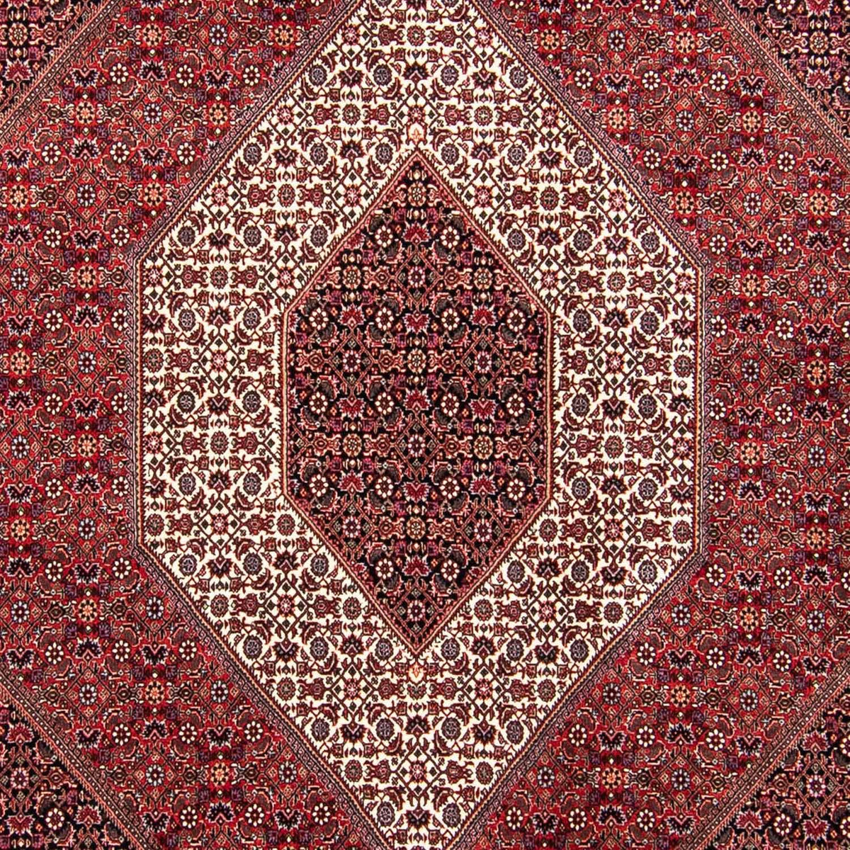 Tappeto Persero - Bidjar - 304 x 250 cm - rosso scuro