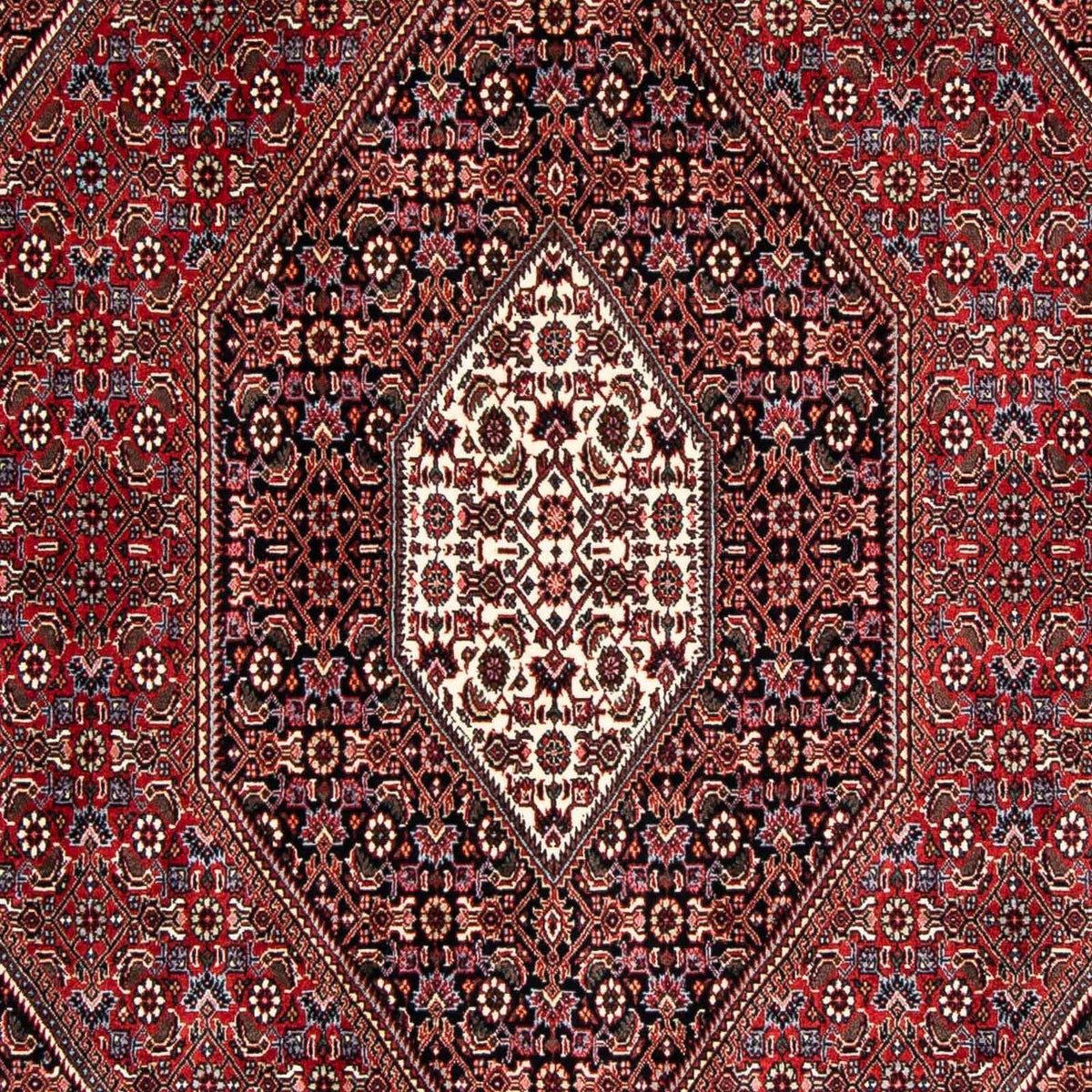 Tappeto Persero - Bidjar - 246 x 167 cm - rosso scuro