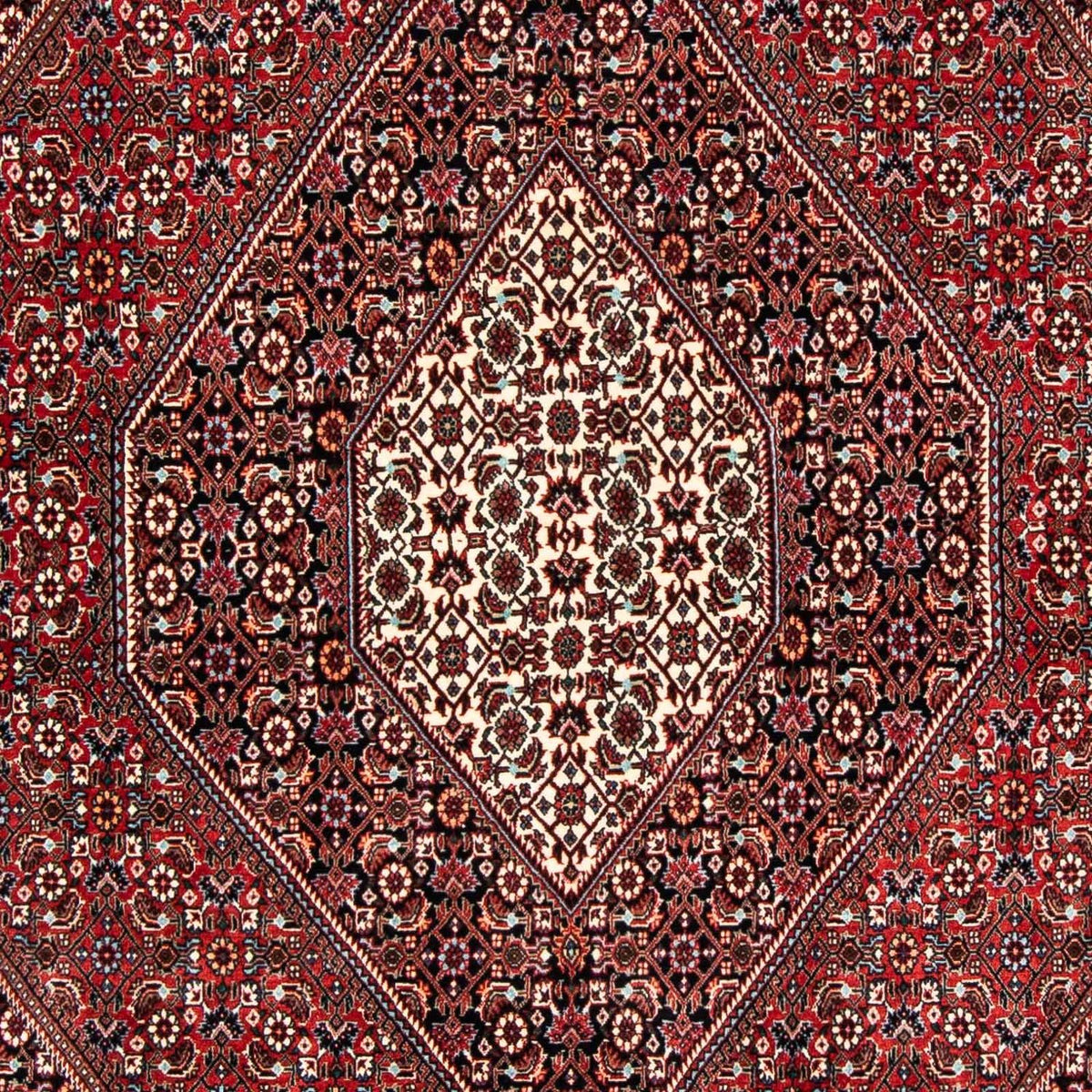 Tappeto Persero - Bidjar - 252 x 172 cm - rosso scuro