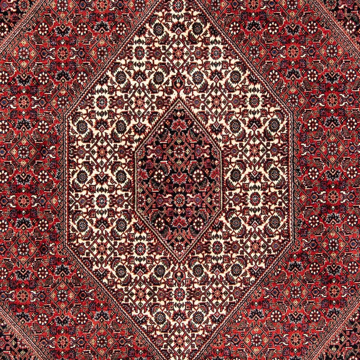 Tappeto Persero - Bidjar - 245 x 167 cm - rosso scuro