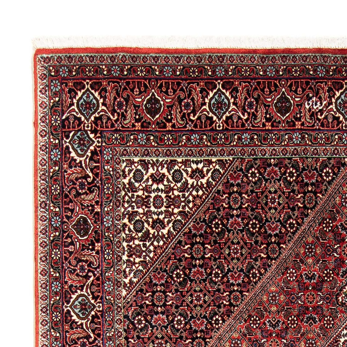 Tappeto Persero - Bidjar - 245 x 167 cm - rosso scuro