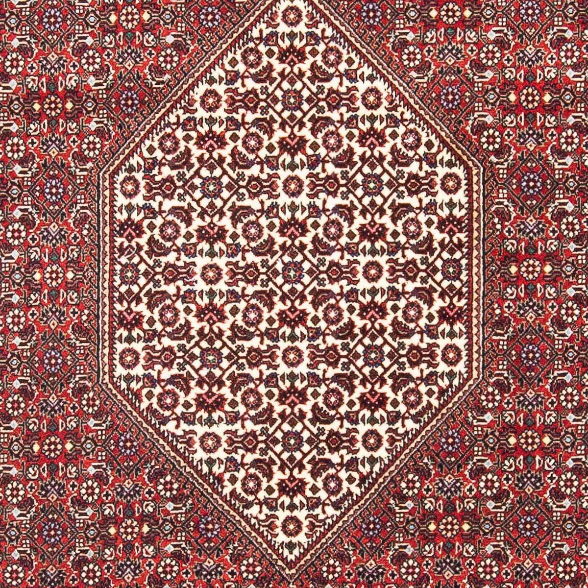 Tappeto Persero - Bidjar - 185 x 112 cm - rosso