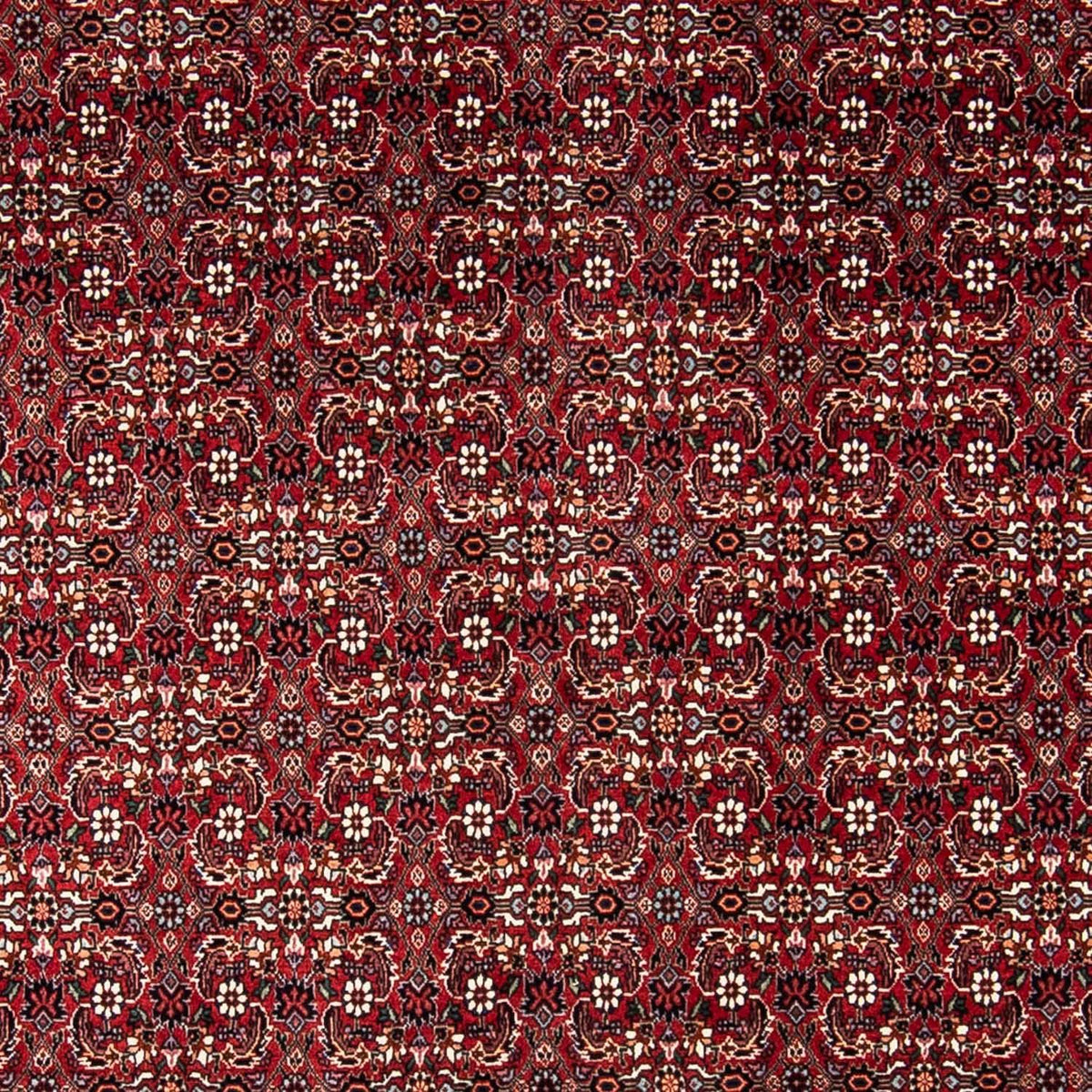 Tappeto Persero - Bidjar - 240 x 168 cm - rosso scuro