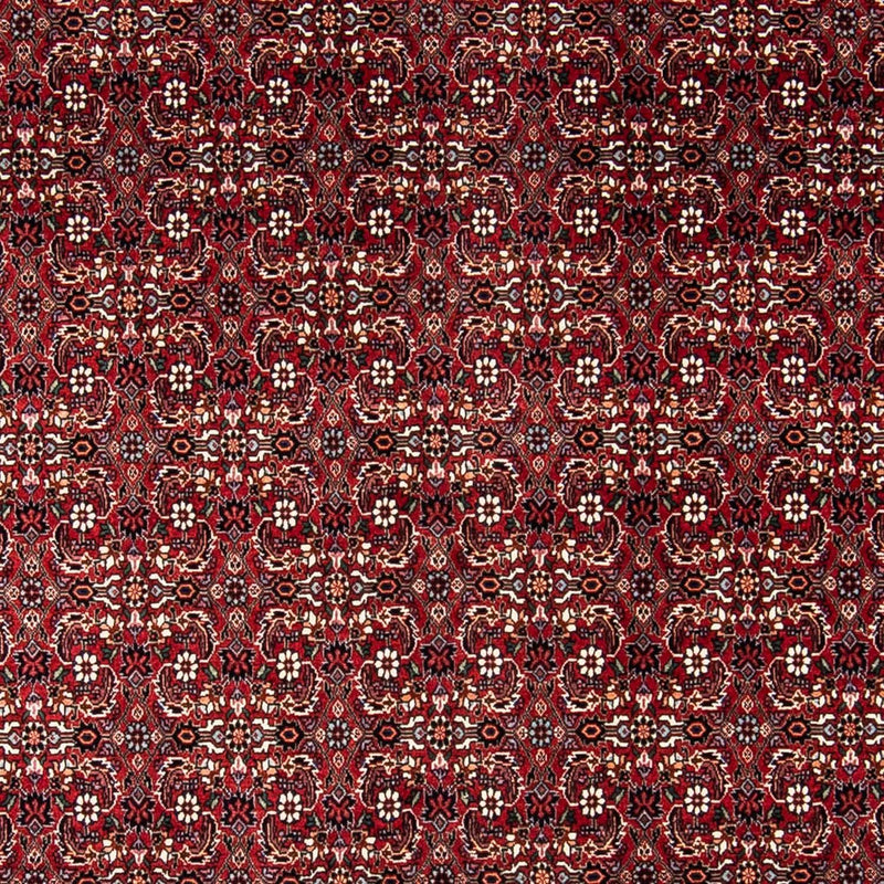 Tappeto Persero - Bidjar - 240 x 168 cm - rosso scuro