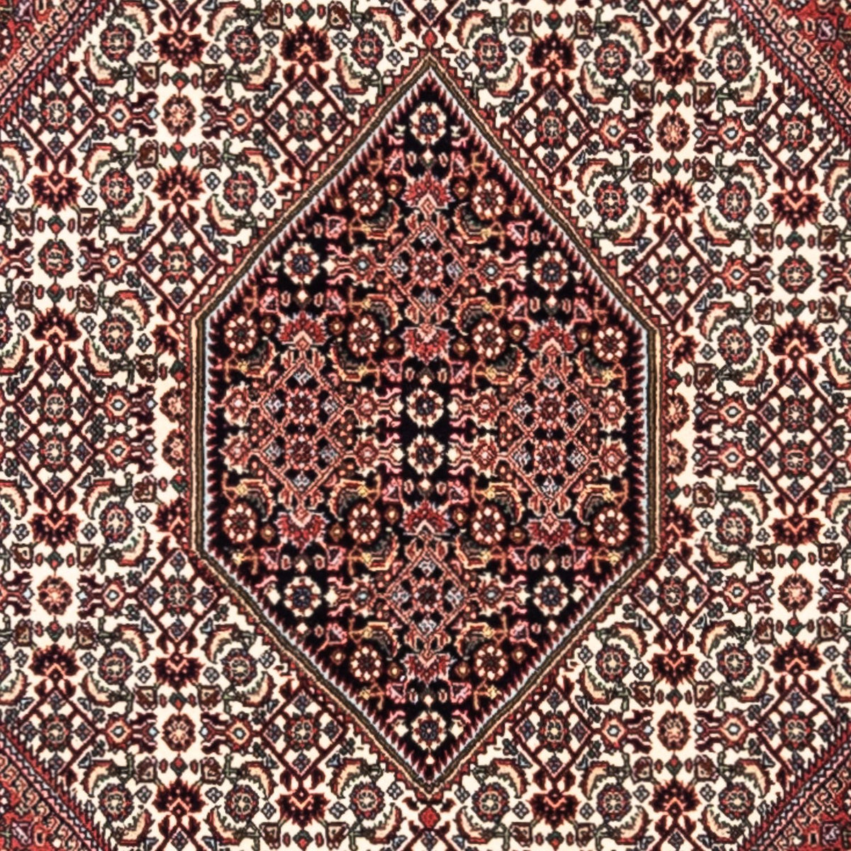 Tappeto Persero - Bidjar - 295 x 200 cm - rosso