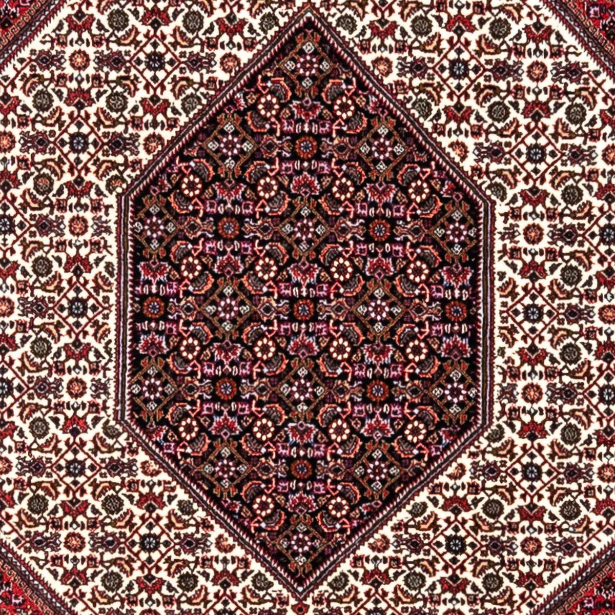 Tappeto Persero - Bidjar - 302 x 200 cm - rosso