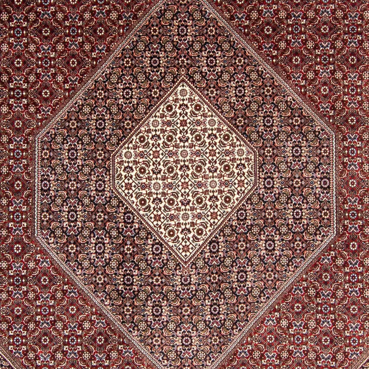 Tappeto Persero - Bidjar - 350 x 251 cm - rosso scuro