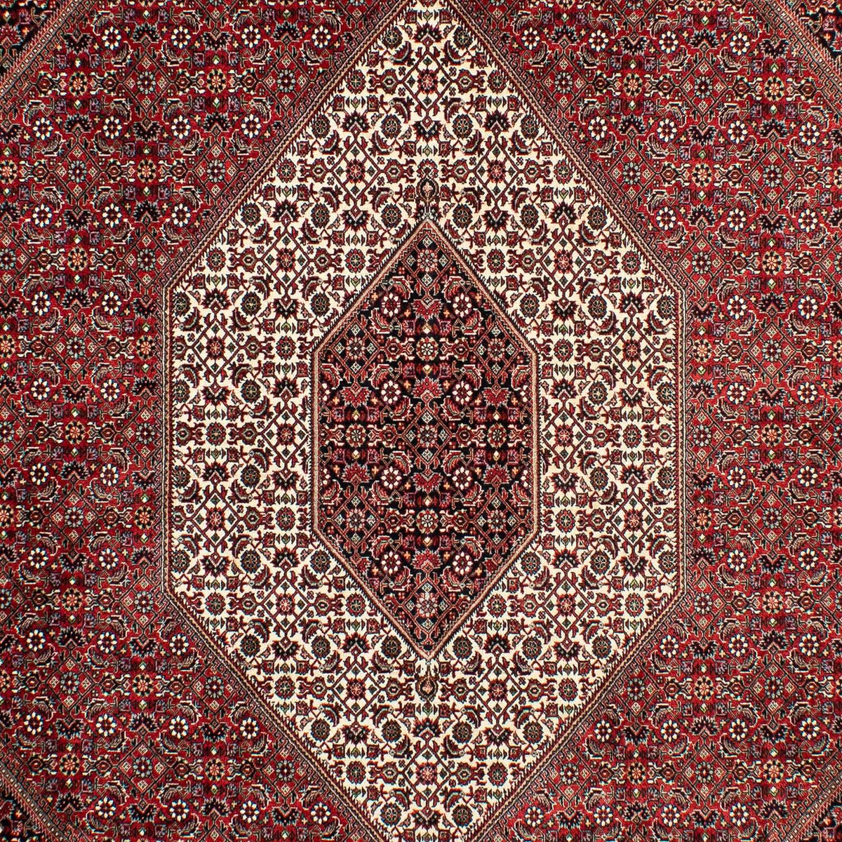 Tappeto Persero - Bidjar - 298 x 200 cm - rosso scuro