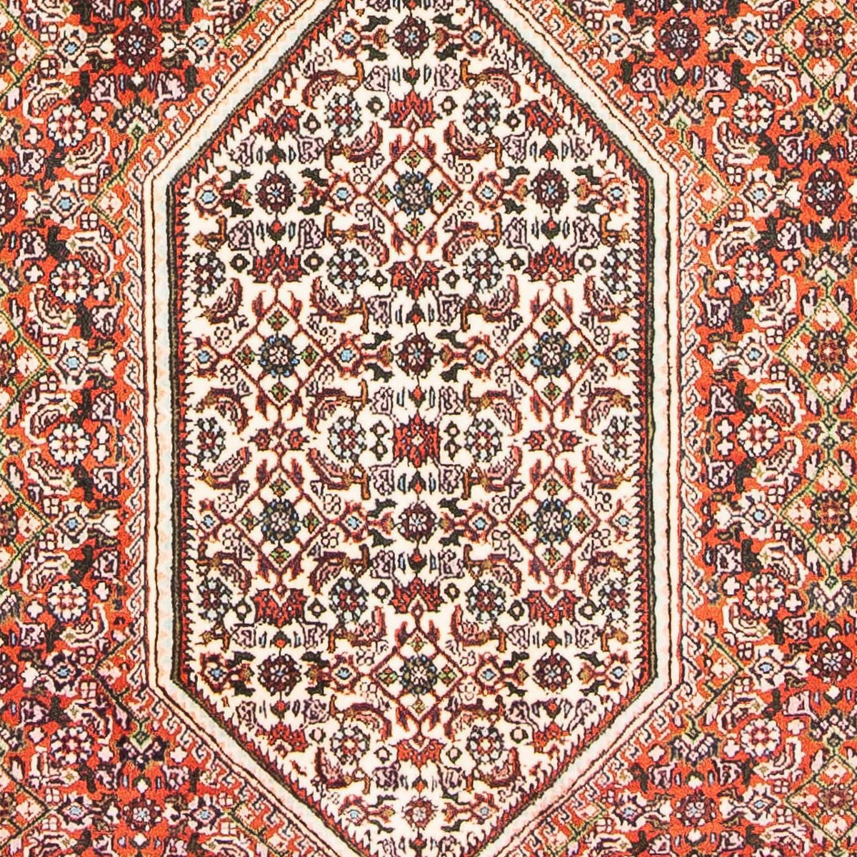 Tappeto Persero - Bidjar - 180 x 110 cm - beige