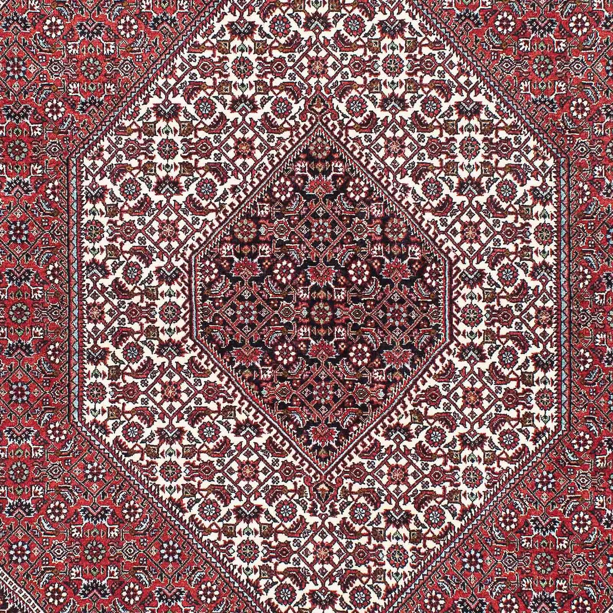 Tappeto Persero - Bidjar - 220 x 142 cm - rosso