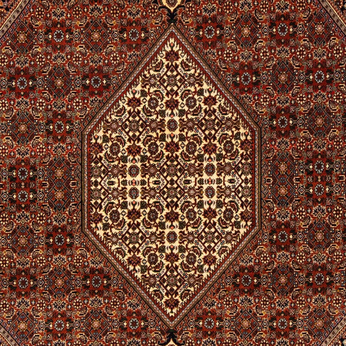 Tappeto Persero - Bidjar - 274 x 171 cm - marrone