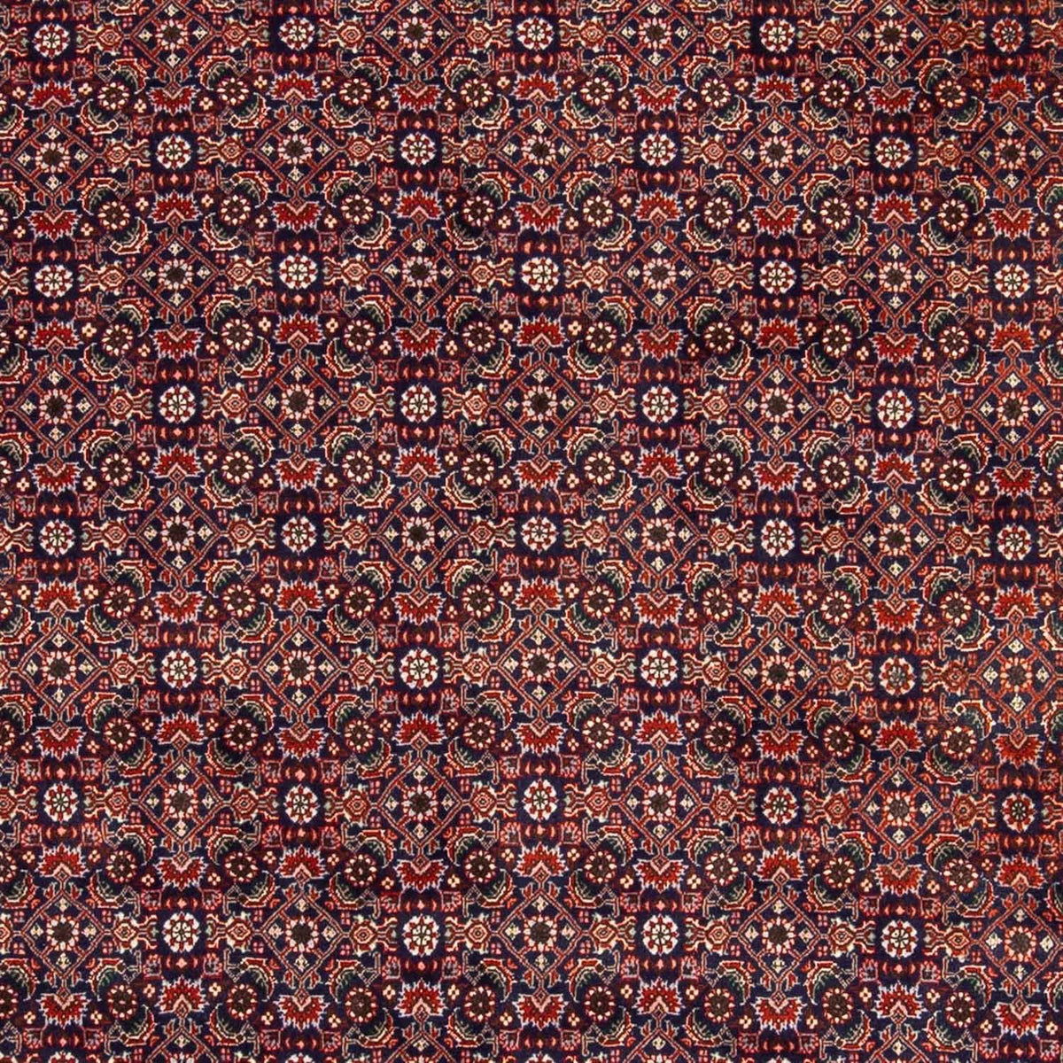Tappeto Persero - Bidjar - 237 x 168 cm - rosso chiaro