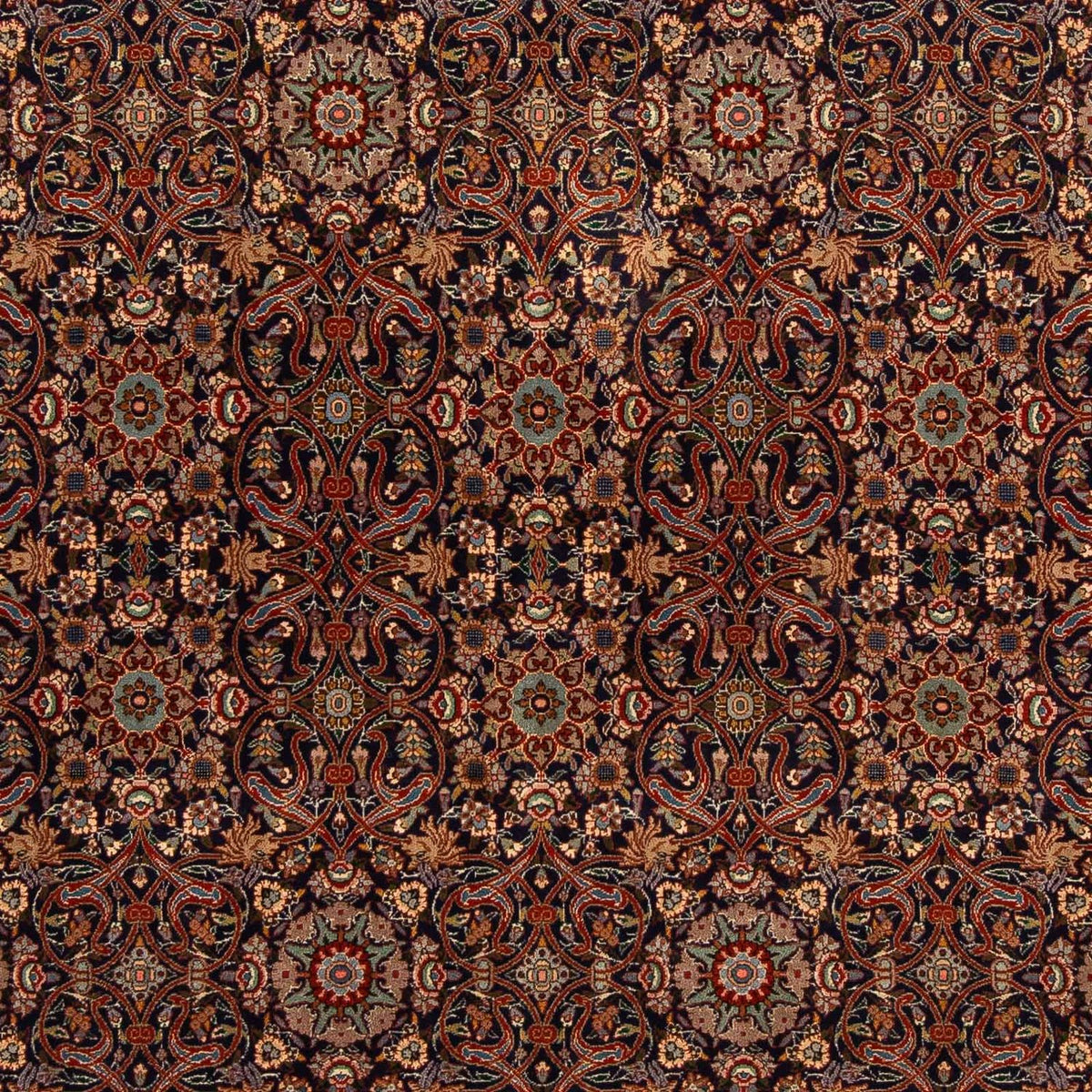 Tappeto Persero - Bidjar quadrato  - 205 x 200 cm - marrone