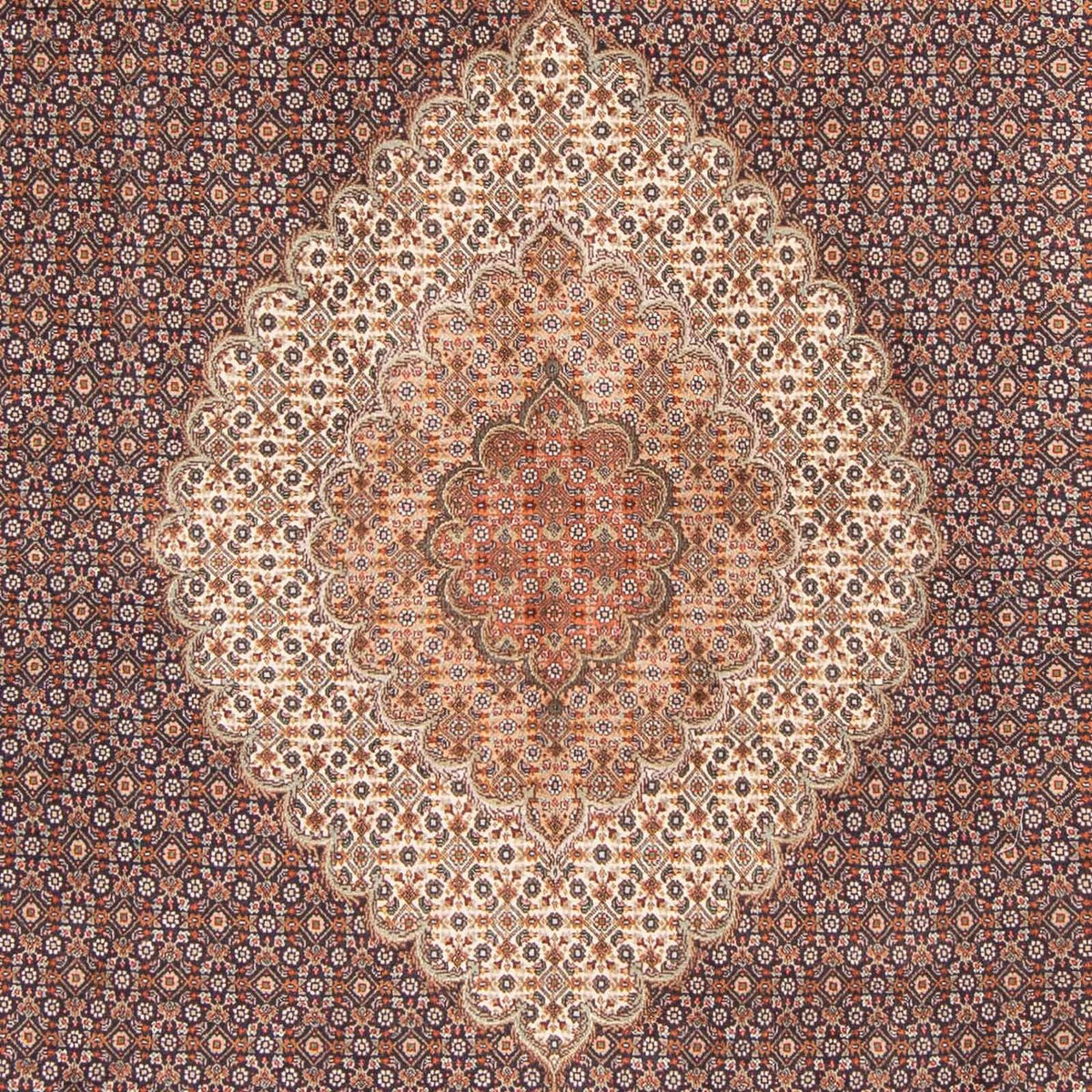 Tappeto Persero - Tabriz - 304 x 202 cm - marrone chiaro