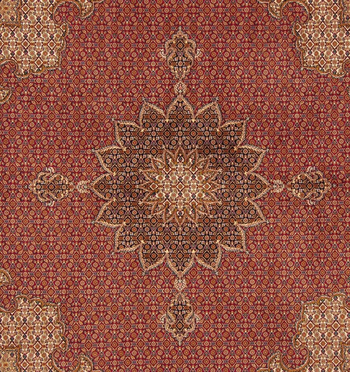 Tappeto Persero - Tabriz quadrato - 204 x 201 cm - rosso scuro