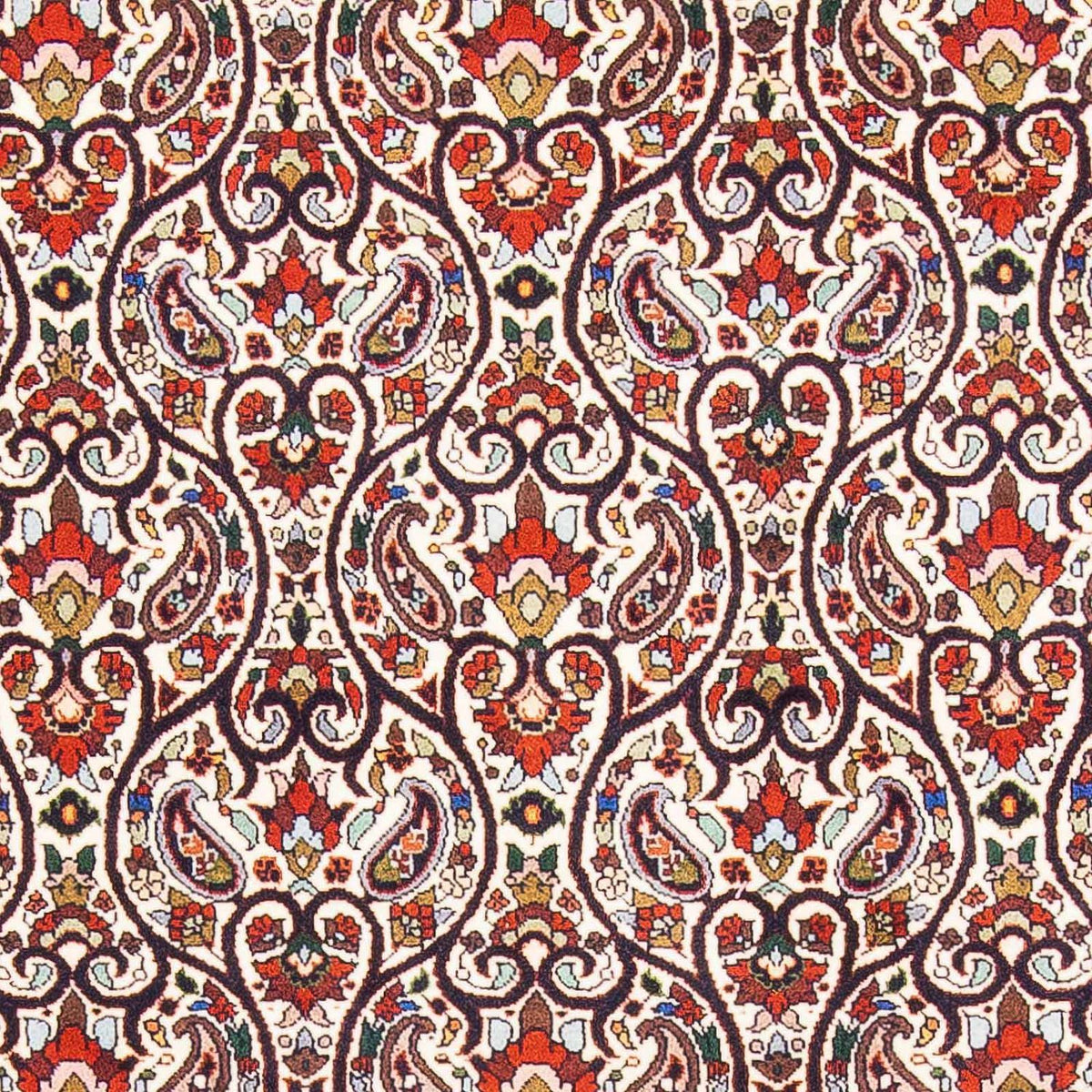 Tappeto Persero - Bidjar - 175 x 108 cm - beige