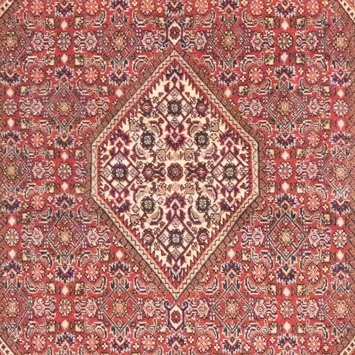Tappeto Persero - Bidjar - 184 x 108 cm - ruggine