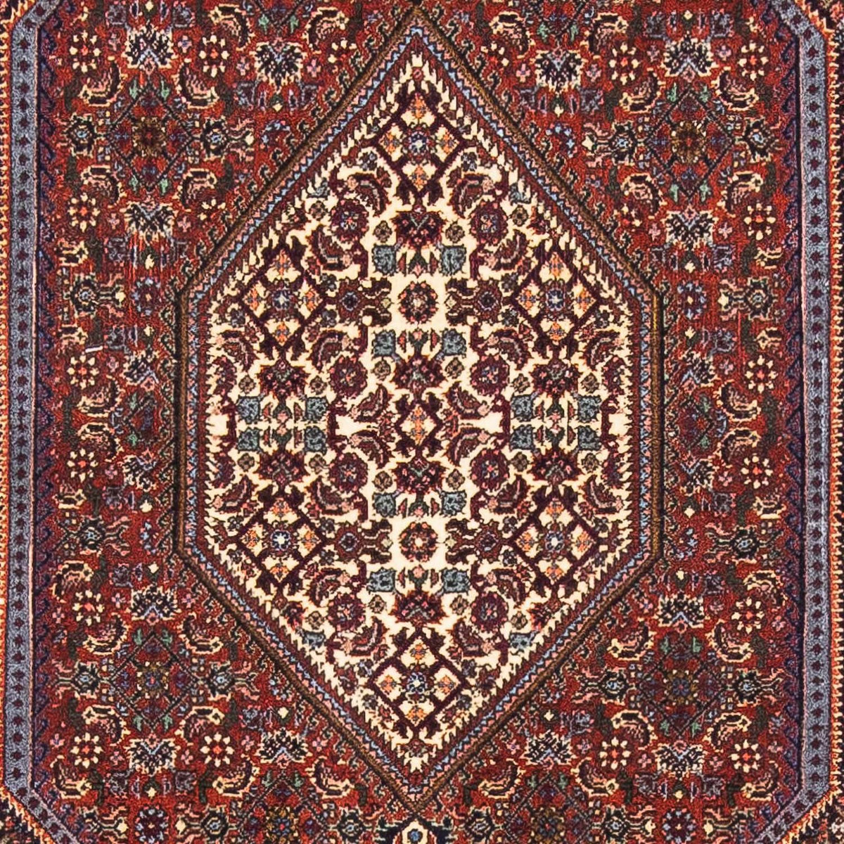 Tappeto Persero - Bidjar - 153 x 105 cm - blu scuro