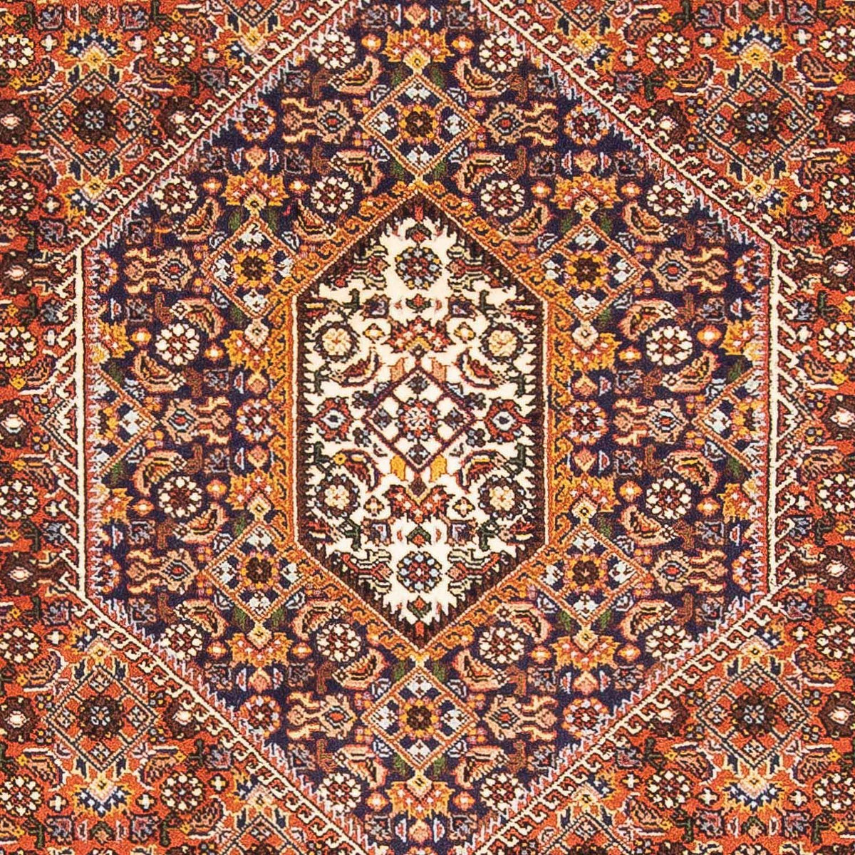 Tappeto Persero - Bidjar - 173 x 112 cm - rosa