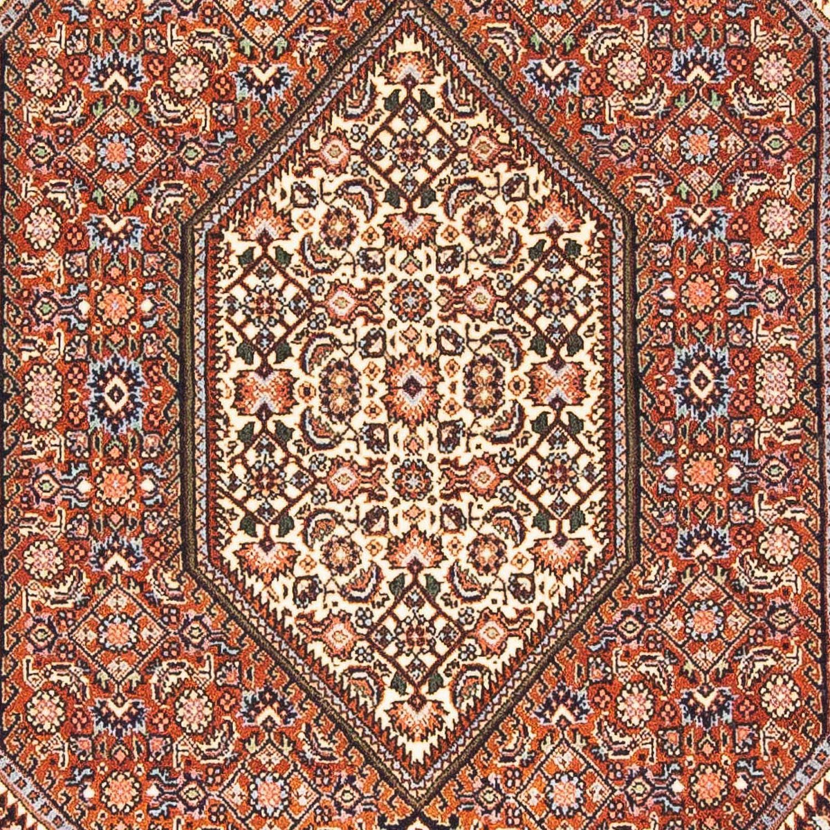 Tappeto Persero - Bidjar - 150 x 108 cm - rosso