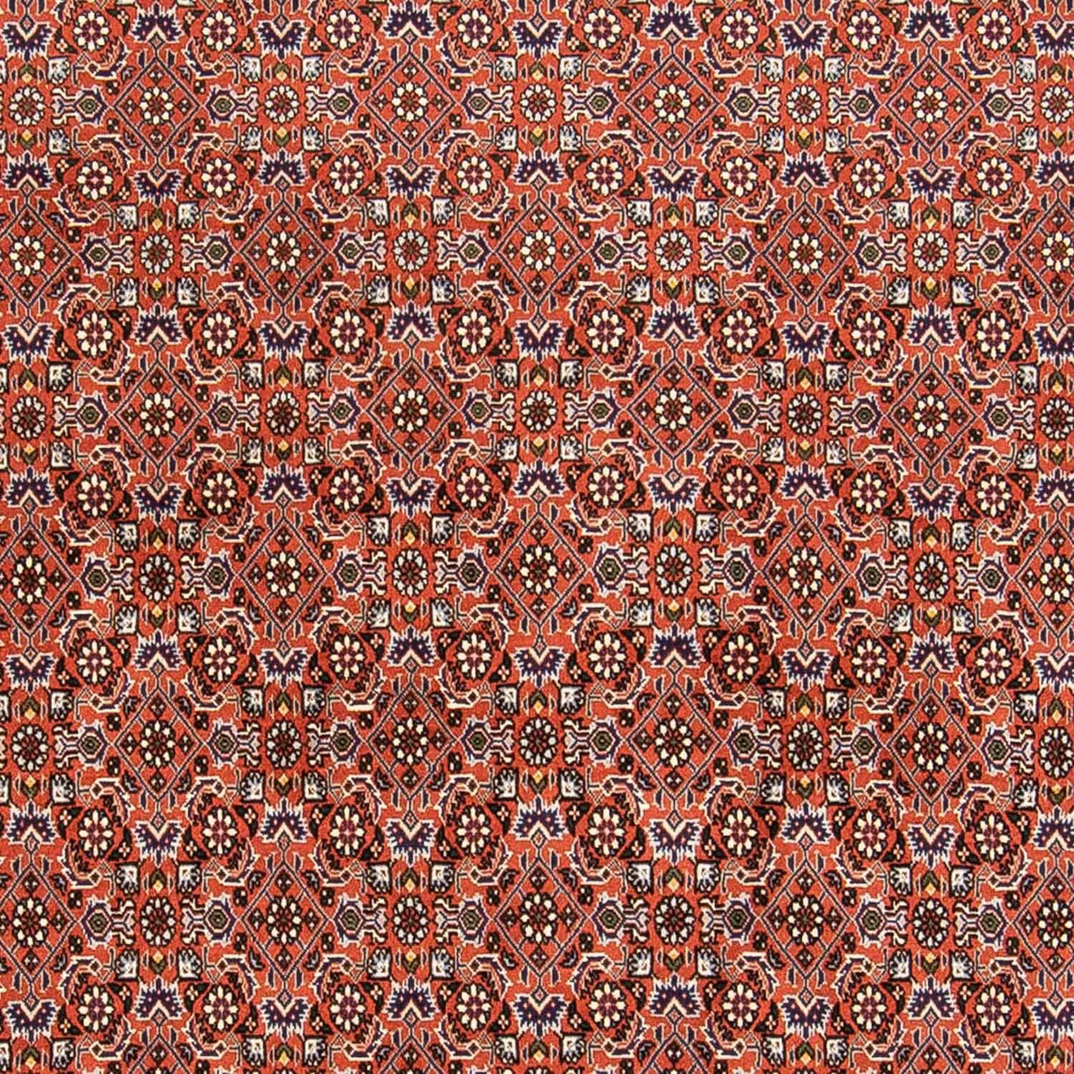 Tappeto Persero - Bidjar - 230 x 168 cm - ruggine