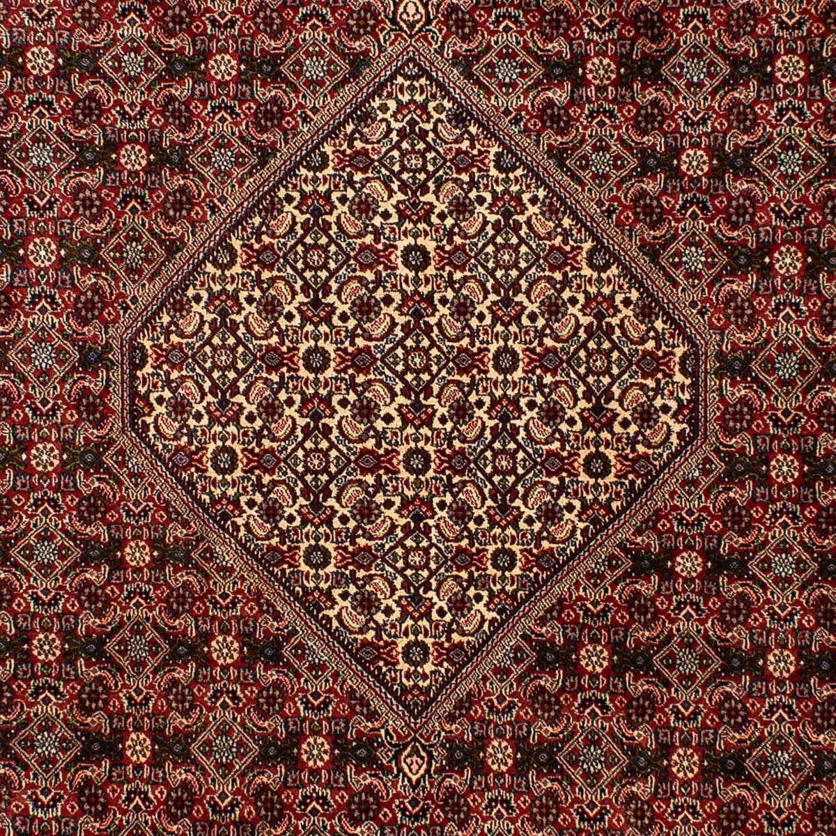 Tappeto Persero - Bidjar - 309 x 197 cm - marrone