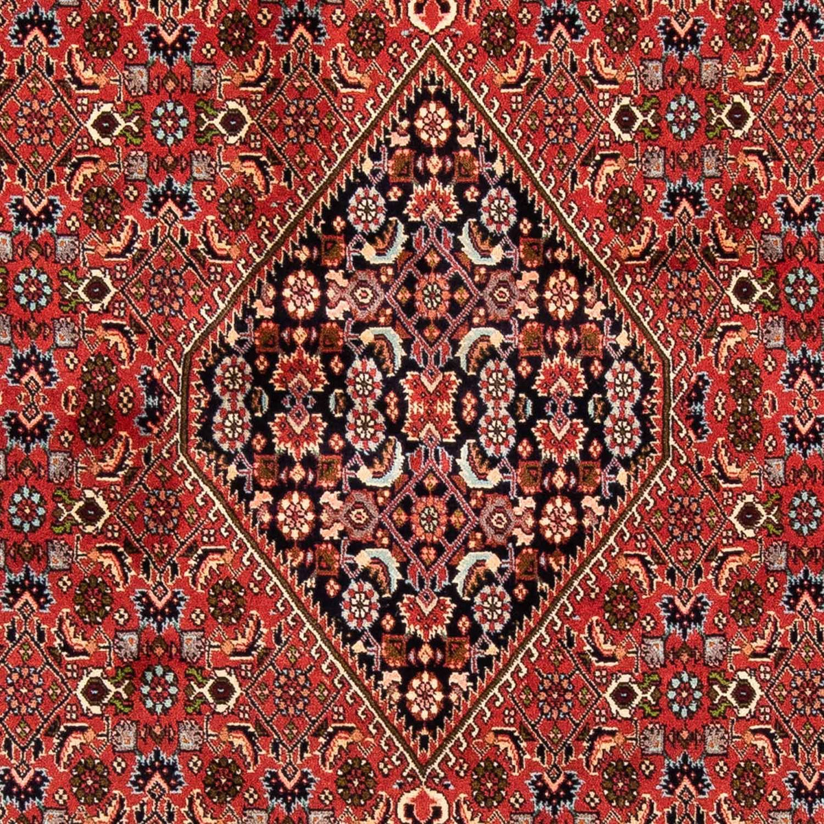 Tappeto Persero - Bidjar - 247 x 169 cm - rosso scuro