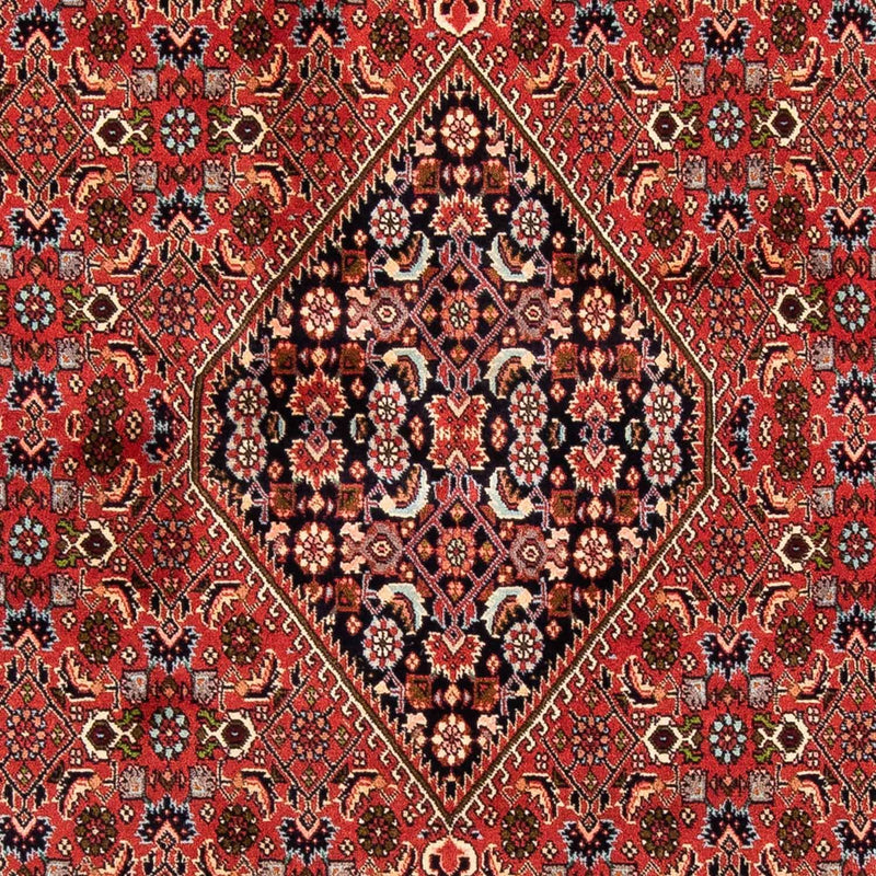 Tappeto Persero - Bidjar - 247 x 169 cm - rosso scuro