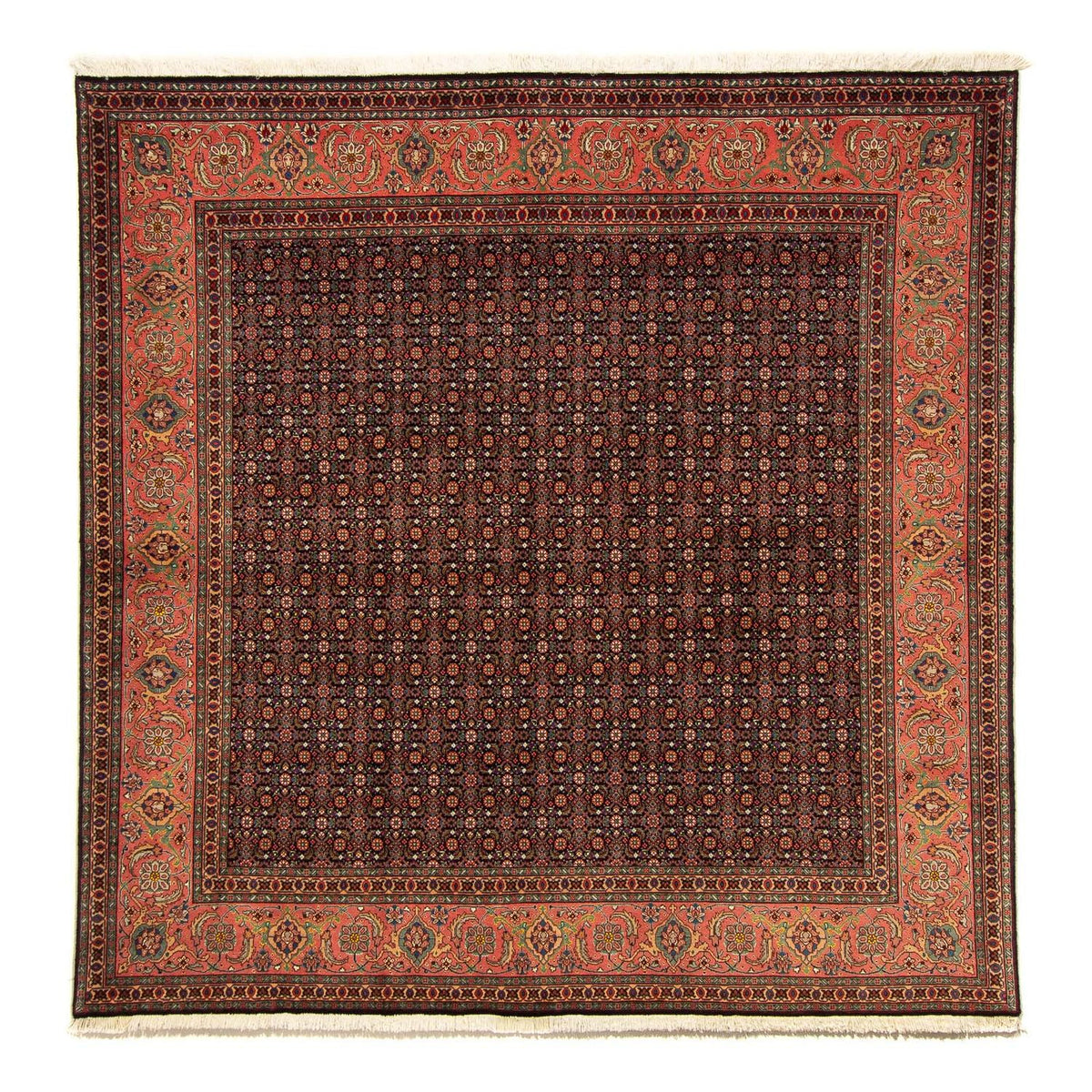 Tappeto Persero - Tabriz quadrato - 200 x 195 cm - blu scuro