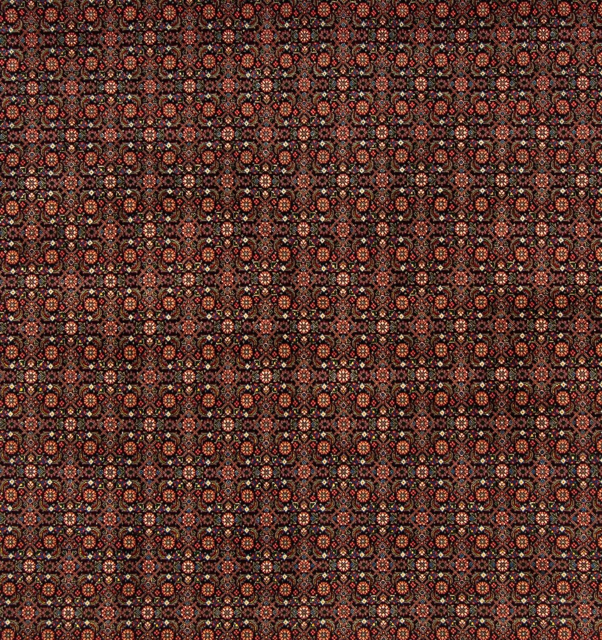 Tappeto Persero - Tabriz quadrato - 200 x 195 cm - blu scuro