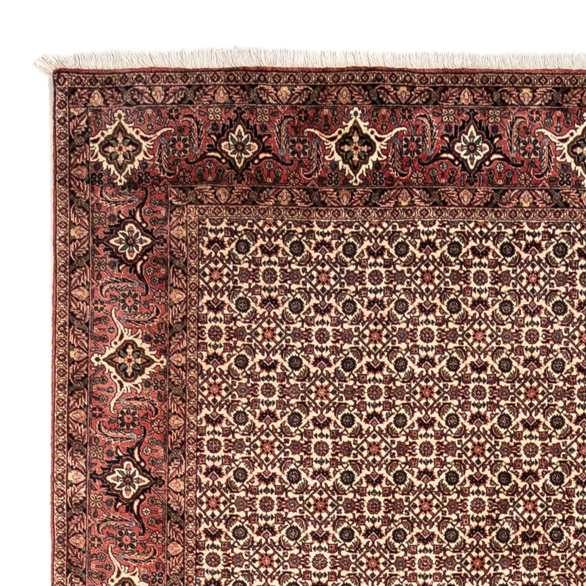 Tappeto Persero - Bidjar - 302 x 208 cm - beige