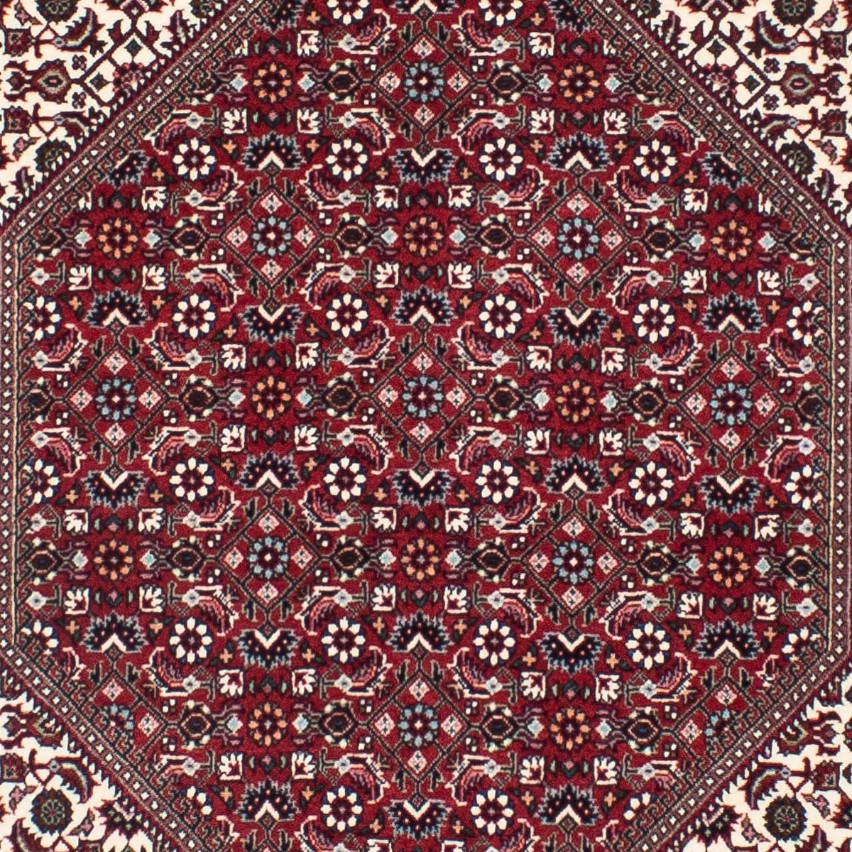 Tappeto corsia Tappeto Persero - Bidjar - 300 x 85 cm - beige