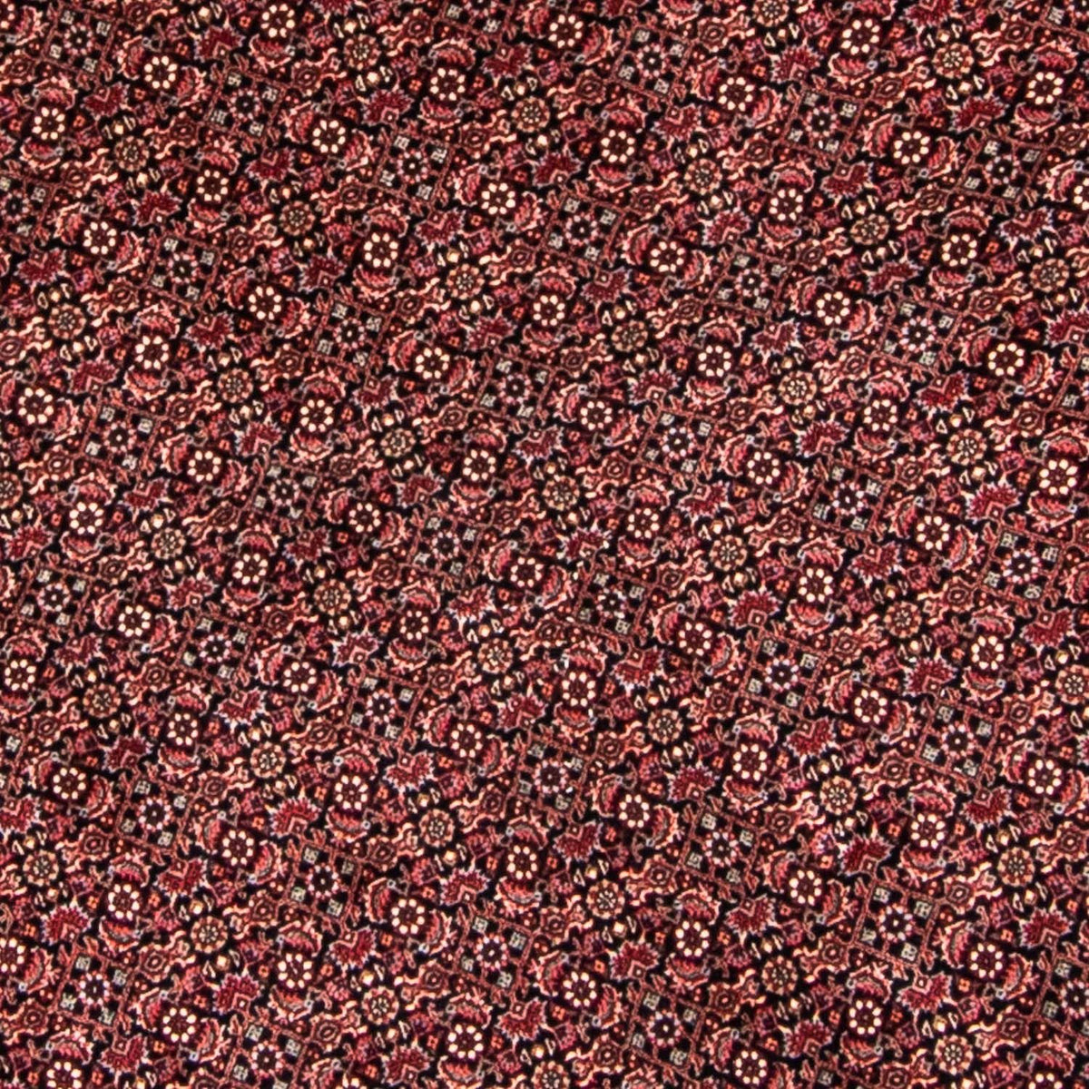 Tappeto Persero - Bidjar rotondo  - 250 x 250 cm - rosso