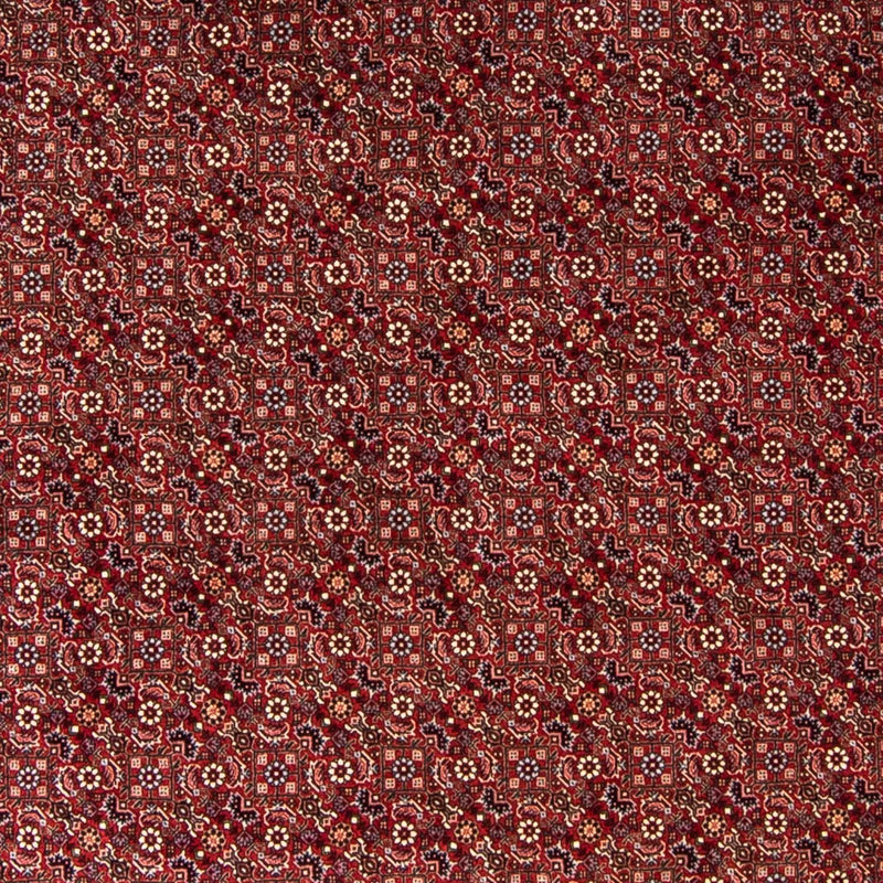 Tappeto Persero - Bidjar rotondo  - 250 x 250 cm - rosso scuro