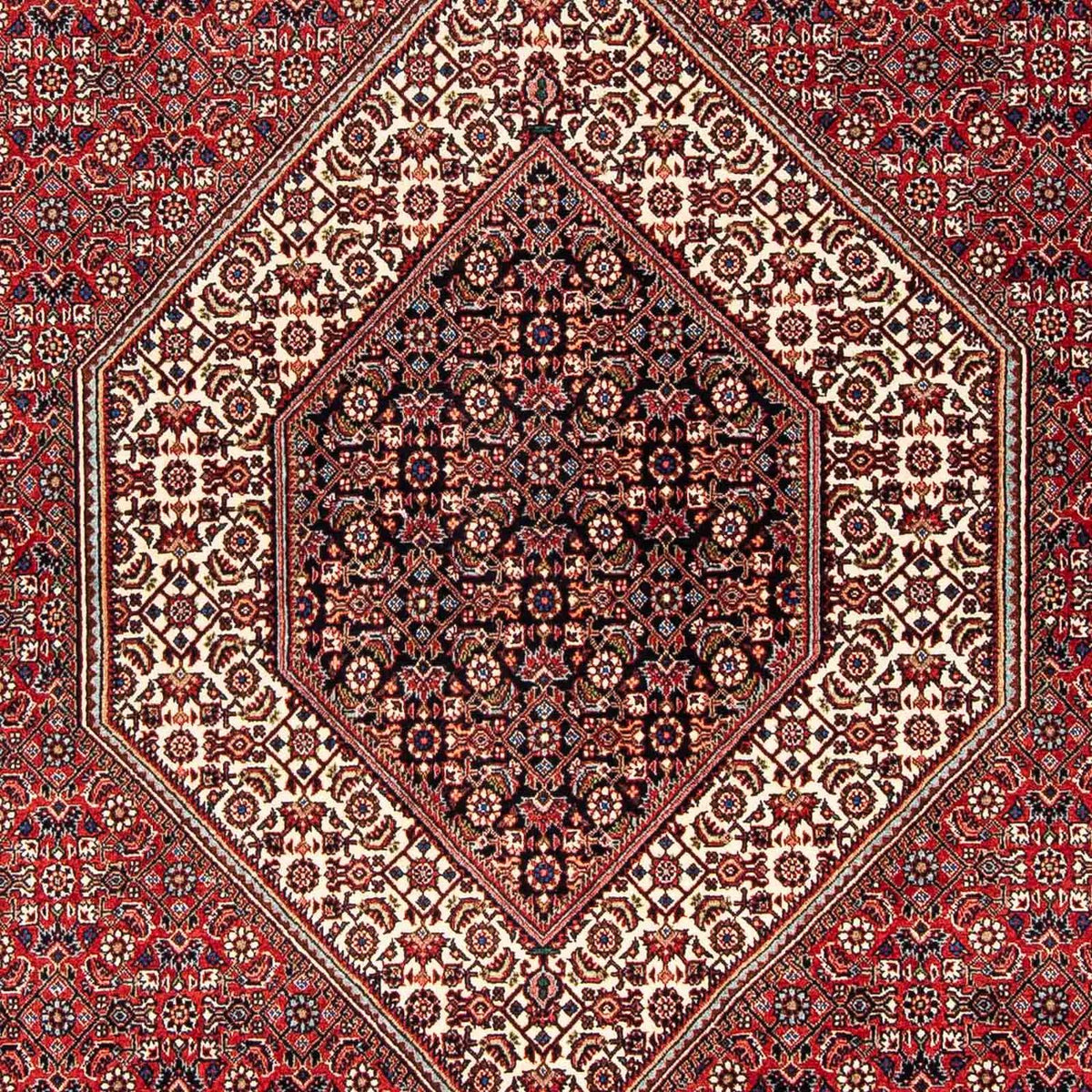 Tappeto Persero - Bidjar - 254 x 171 cm - rosso scuro