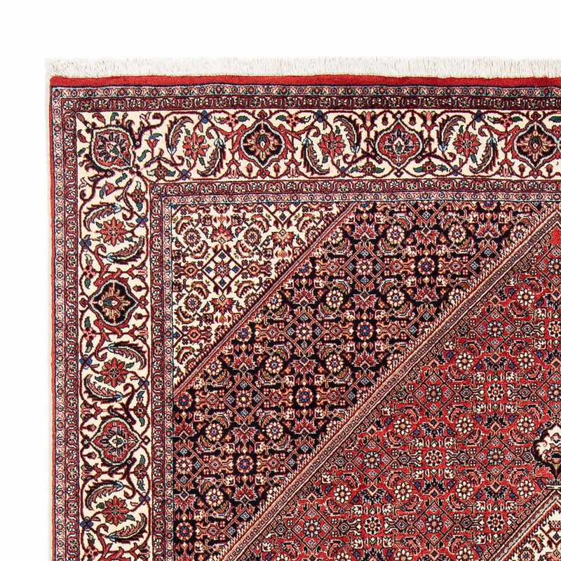 Tappeto Persero - Bidjar - 254 x 171 cm - rosso scuro