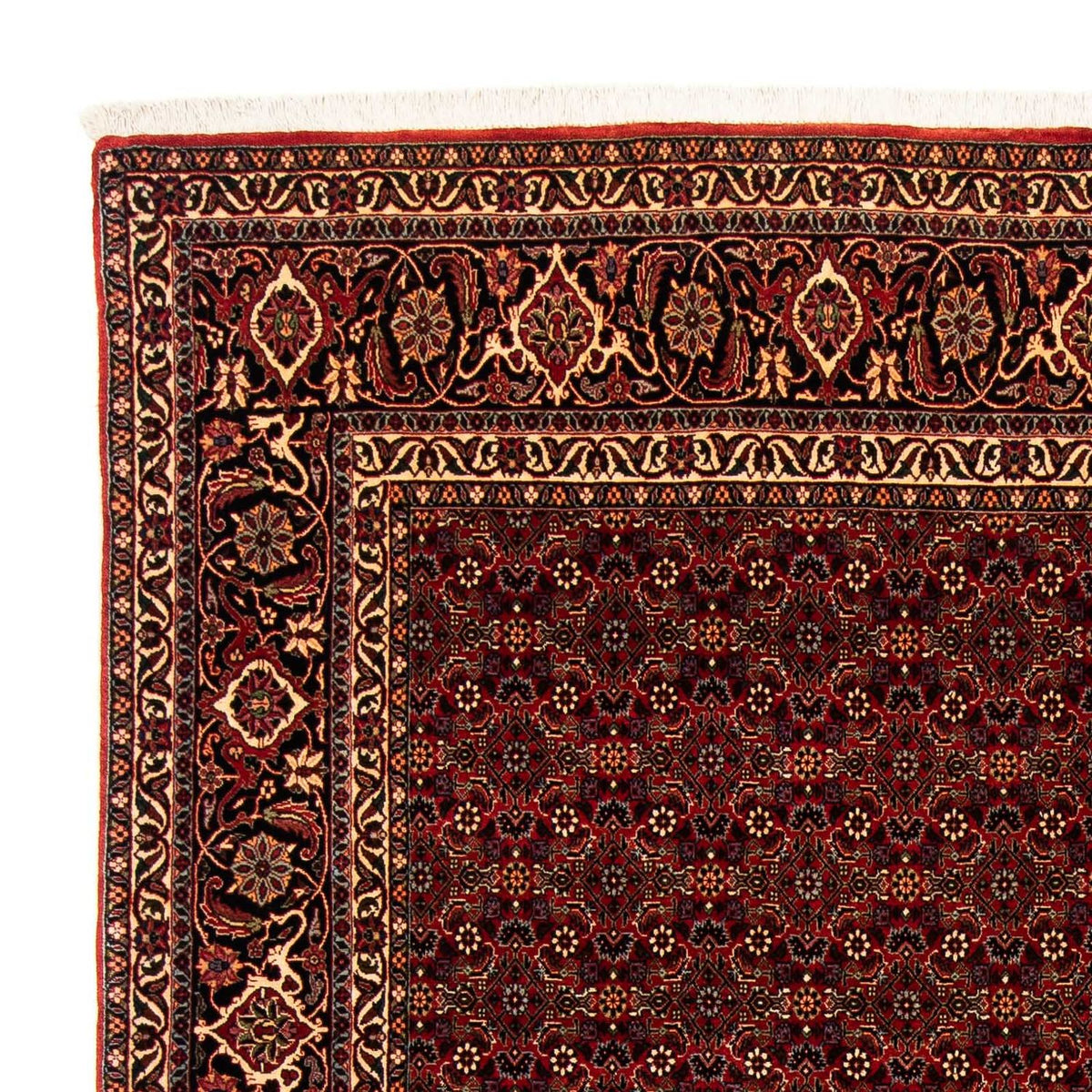 Tappeto Persero - Bidjar - 256 x 202 cm - rosso scuro