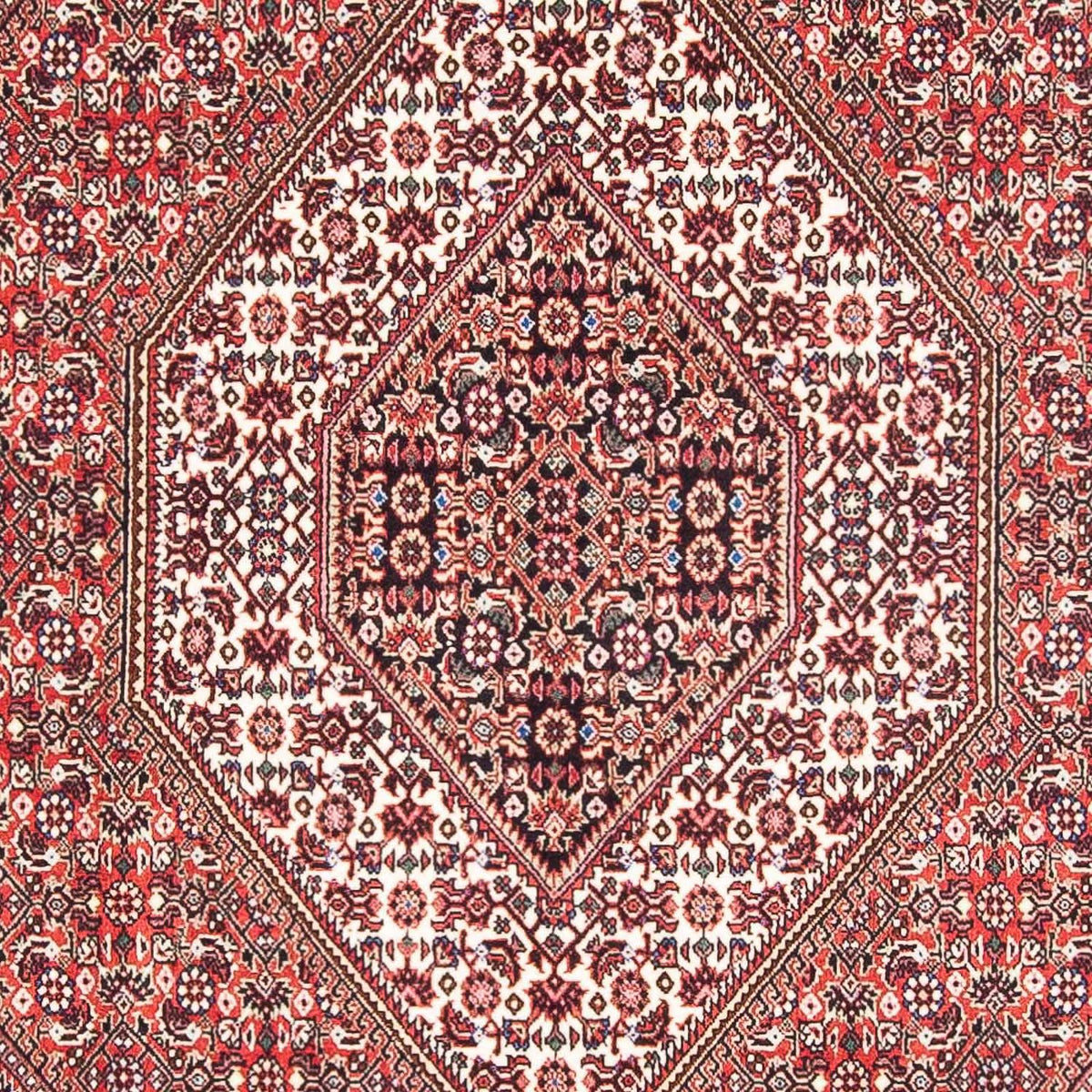 Tappeto Persero - Bidjar - 182 x 111 cm - rosso