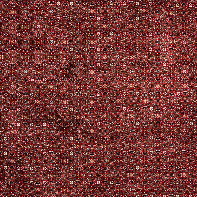 Tappeto Persero - Bidjar - 392 x 299 cm - rosso scuro