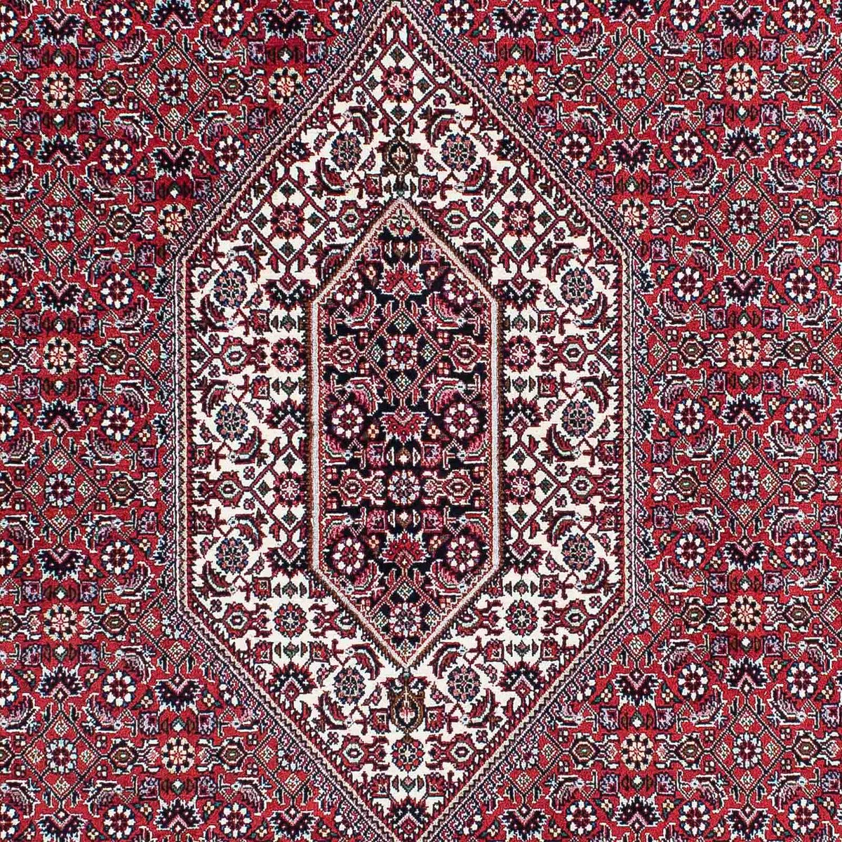 Tappeto Persero - Bidjar - 210 x 131 cm - rosso chiaro