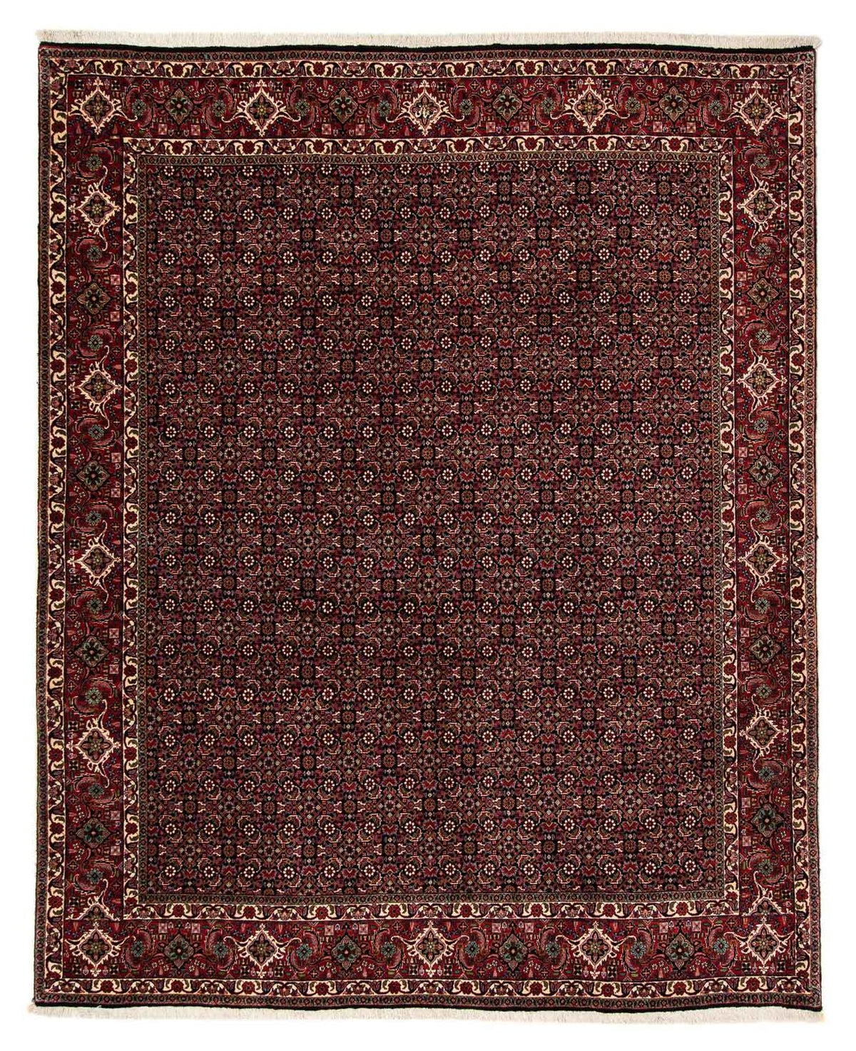 Tappeto Persero - Bidjar - 248 x 198 cm - rosso scuro