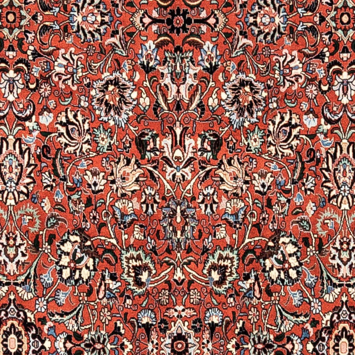 Tappeto Persero - Bidjar - 282 x 198 cm - rosso