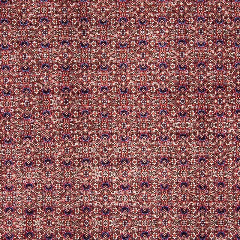 Tappeto Persero - Bidjar - 292 x 250 cm - rosso chiaro