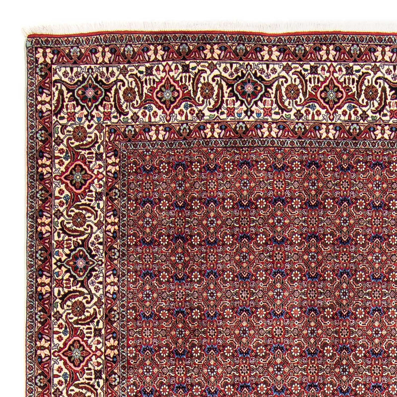 Tappeto Persero - Bidjar - 292 x 250 cm - rosso chiaro