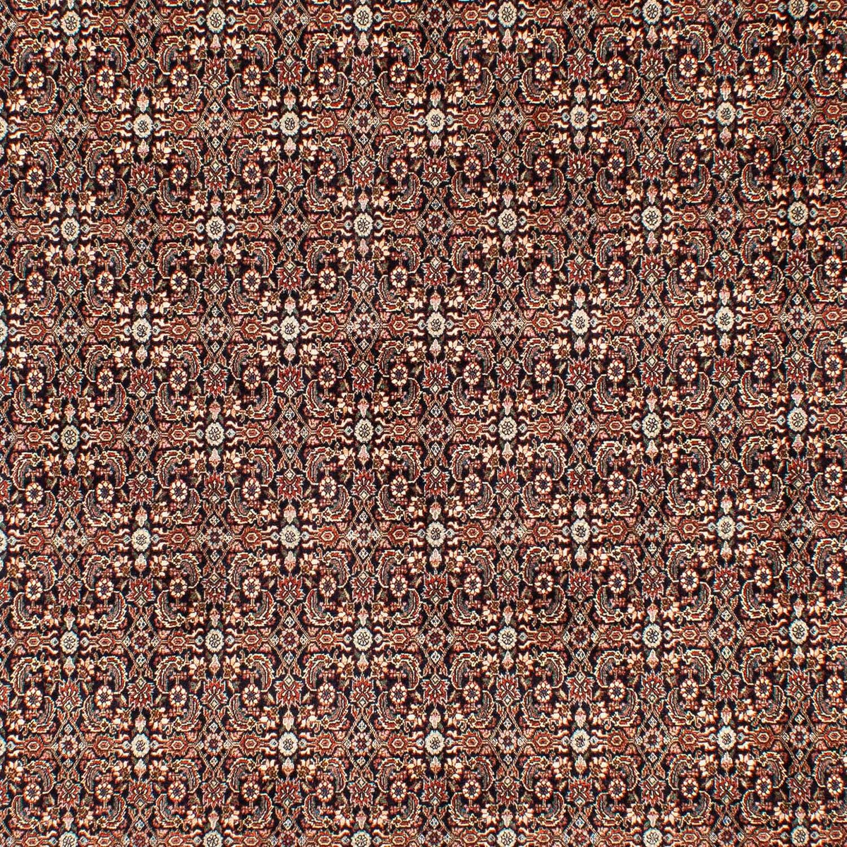 Tappeto Persero - Bidjar - 300 x 204 cm - multicolore