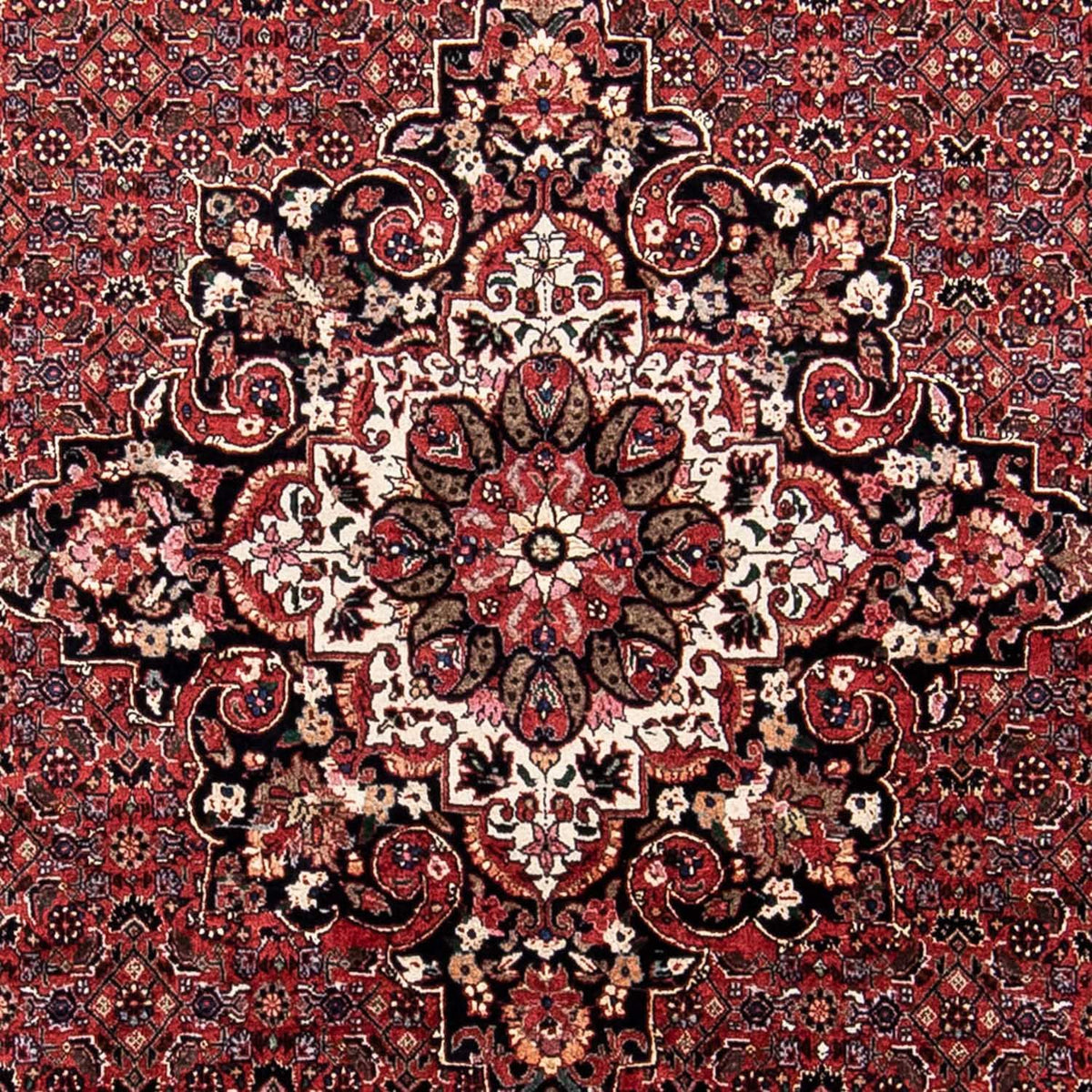 Tappeto Persero - Bidjar - 230 x 175 cm - rosso scuro