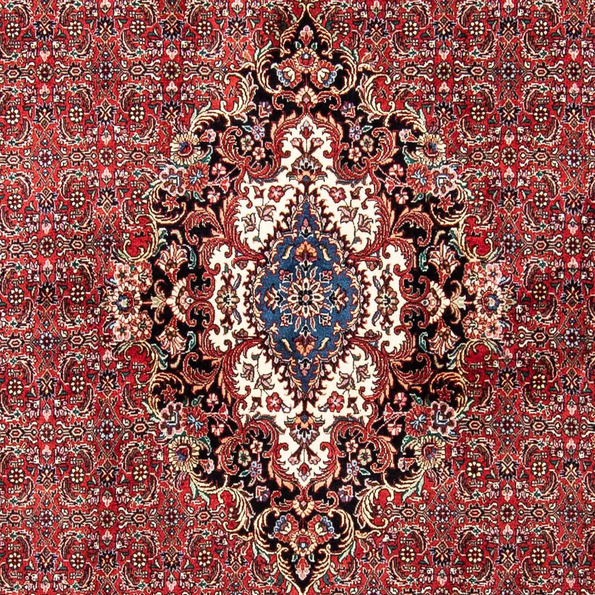Tappeto Persero - Bidjar - 233 x 166 cm - rosso