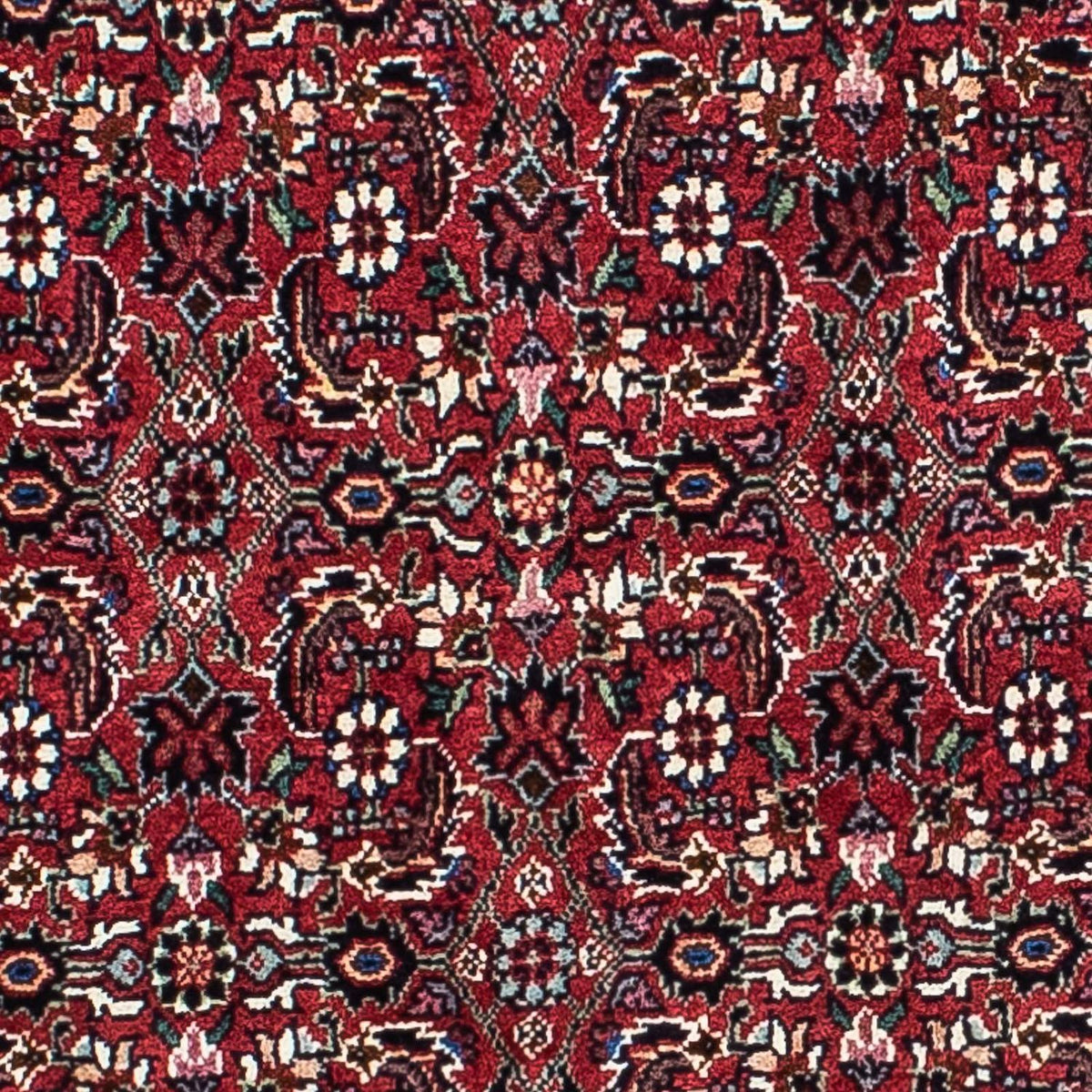 Tappeto Persero - Bidjar - 208 x 134 cm - rosso scuro