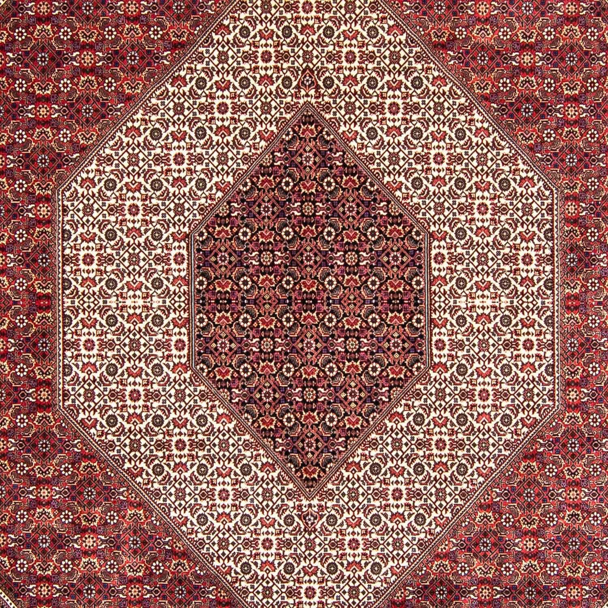 Tappeto Persero - Bidjar - 360 x 250 cm - rosso scuro