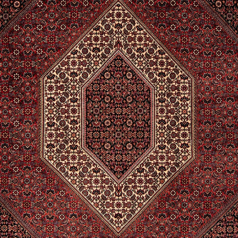 Tappeto Persero - Bidjar - 251 x 202 cm - rosso scuro